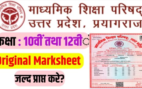 UP Board Class 10th 12th Original Marksheet 2024